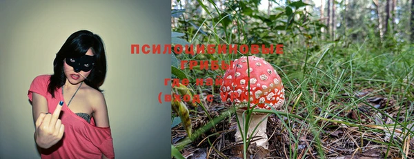 дживик Алзамай