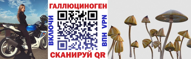 Псилоцибиновые грибы прущие грибы  Иланский 